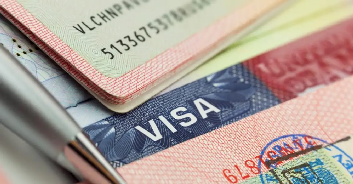 E-2 Vizesi İş Fikirleri 